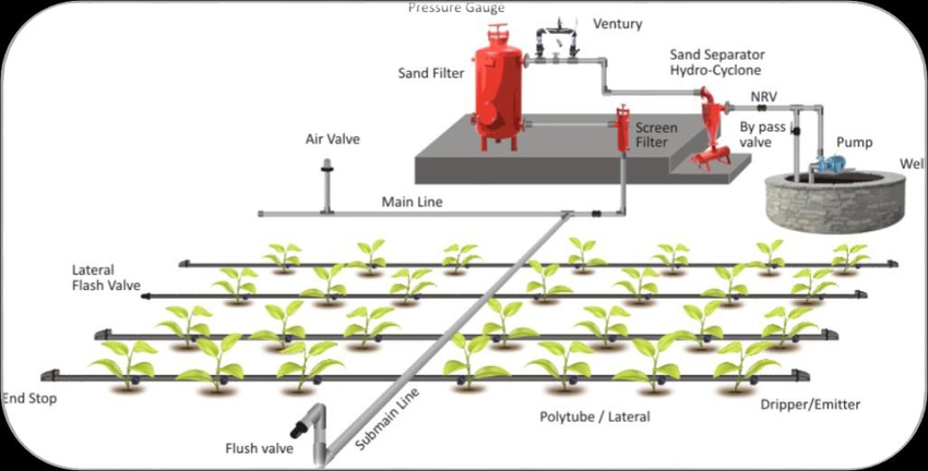 A typical layout of the drip irrigation system
